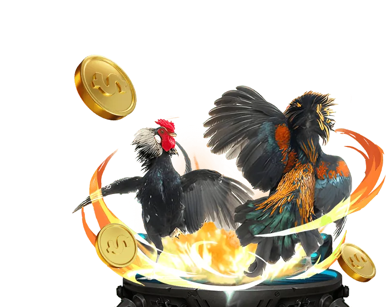 Truy cập trang chủ 678vn